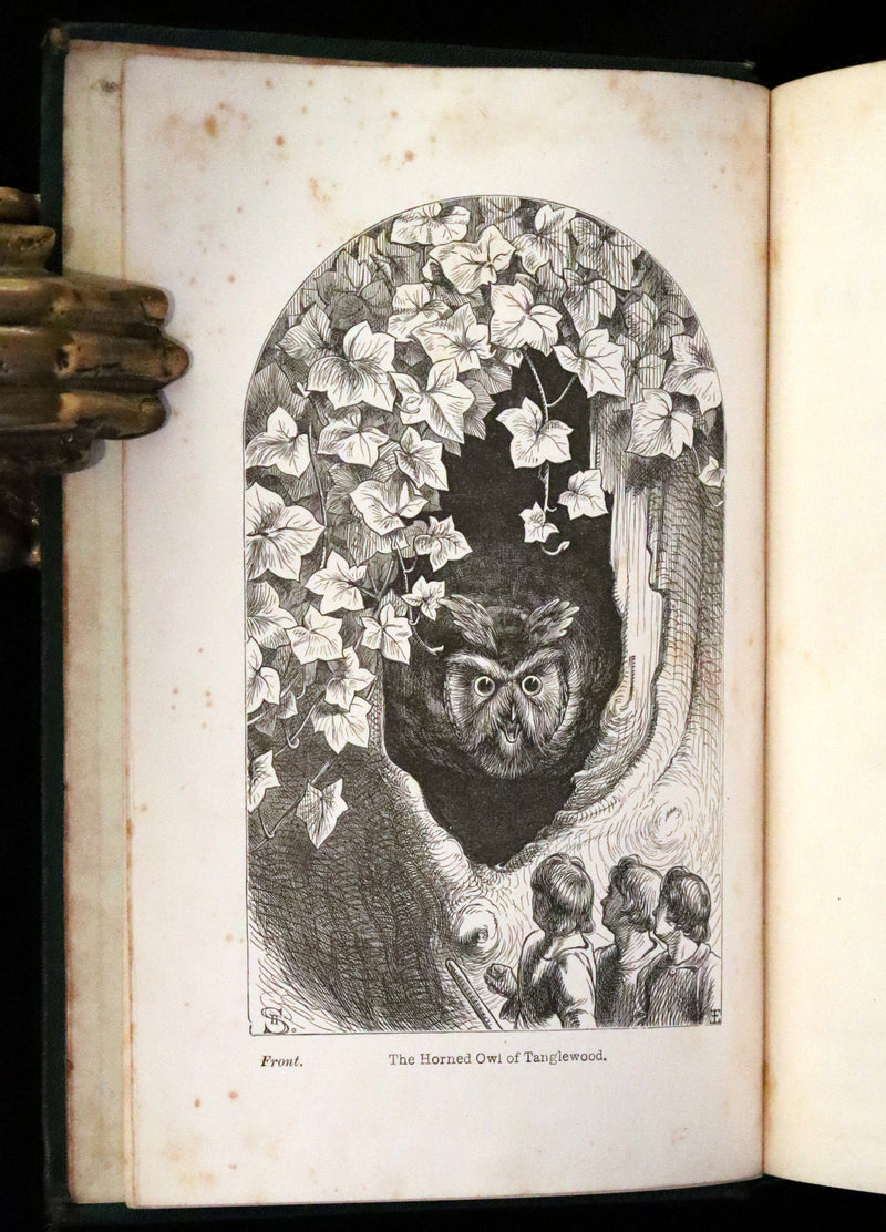 1890 Scarce Victorian Edition - Holme Lee's Fairy Tales, illustrated.