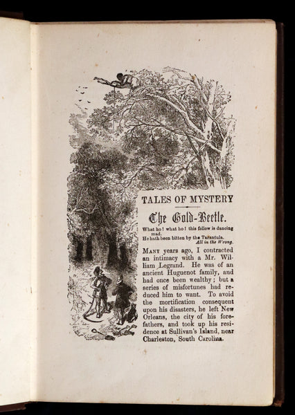 1878 Scarce Book - Edgar Allan POE Tales of Mystery, Imagination, and Humour. Illustrated.