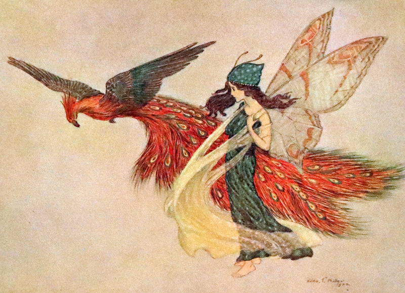 1923 Rare First Edition - The Rose Fyleman Fairy Book Illustrated by Hilda T. Miller.