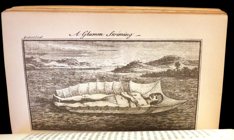 1884 Rare Book set - THE LIFE & ADVENTURES OF PETER WILKINS, Utopian & Early Science Fiction Masterpiece.