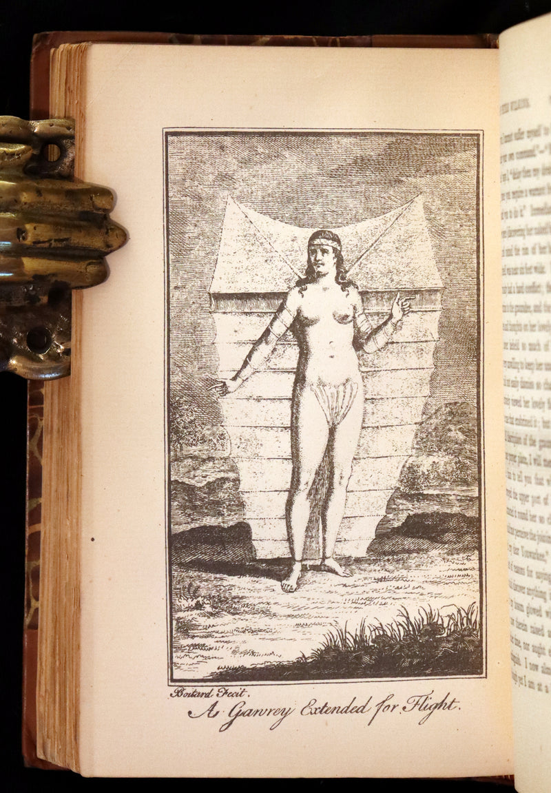 1884 Rare Book set - THE LIFE & ADVENTURES OF PETER WILKINS, Utopian & Early Science Fiction Masterpiece.