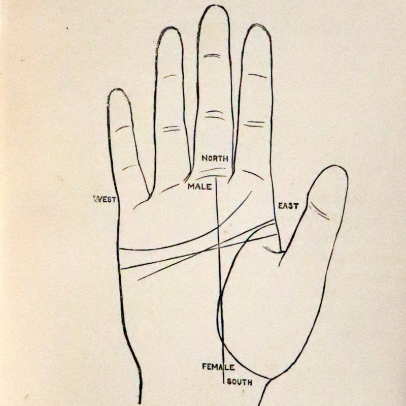 1890 Scarce Book - CHIROMANCY, The Science of Palmistry by Henry Frith. Illustrated.