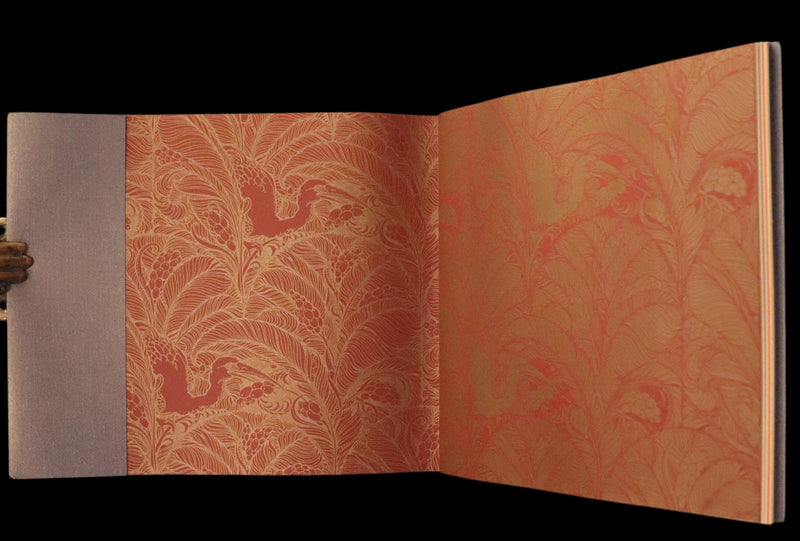 2005 Rare Signed First Edition - Sketches from the Dream Island of Birds by Charles van Sandwyk.