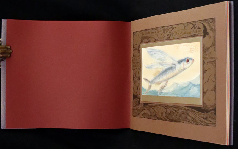 2005 Rare Signed First Edition - Sketches from the Dream Island of Birds by Charles van Sandwyk.