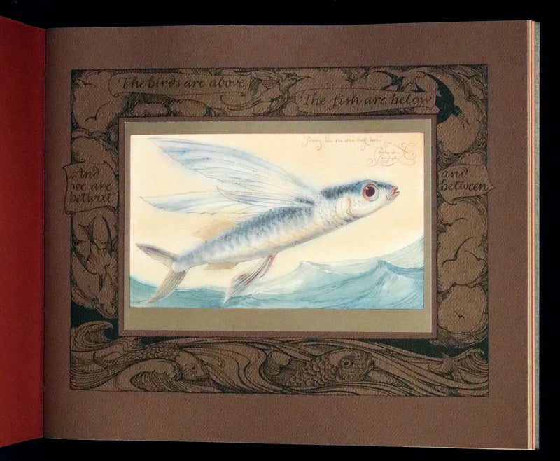 2005 Rare Signed First Edition - Sketches from the Dream Island of Birds by Charles van Sandwyk.