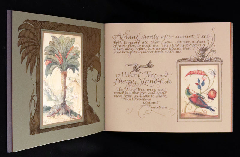 2005 Rare Signed First Edition - Sketches from the Dream Island of Birds by Charles van Sandwyk.