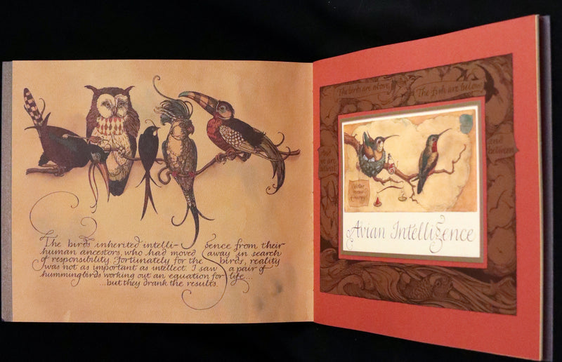 2005 Rare Signed First Edition - Sketches from the Dream Island of Birds by Charles van Sandwyk.