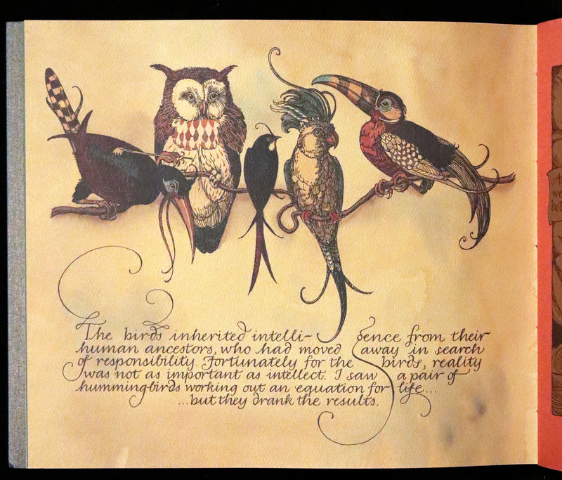 2005 Rare Signed First Edition - Sketches from the Dream Island of Birds by Charles van Sandwyk.