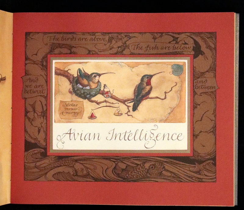 2005 Rare Signed First Edition - Sketches from the Dream Island of Birds by Charles van Sandwyk.