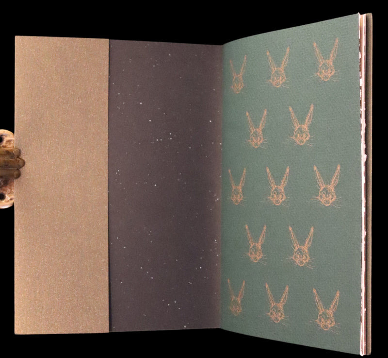 2007 Rare Edition in metallic green cover - Mr. Rabbit's Christmas Wish Translated for Humans by Charles van Sandwyk.