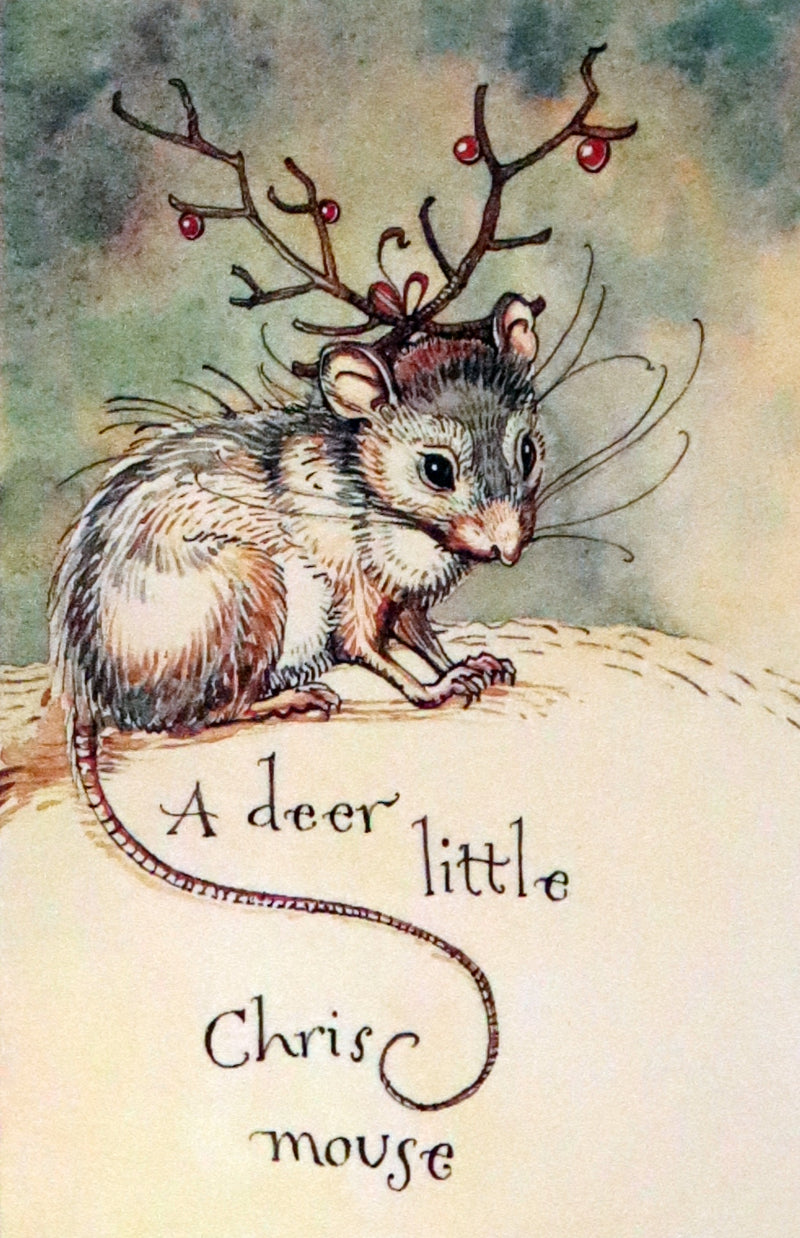 2007 Rare Edition in metallic green cover - Mr. Rabbit's Christmas Wish Translated for Humans by Charles van Sandwyk.