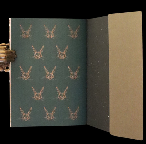 2007 Rare Edition in metallic green cover - Mr. Rabbit's Christmas Wish Translated for Humans by Charles van Sandwyk.