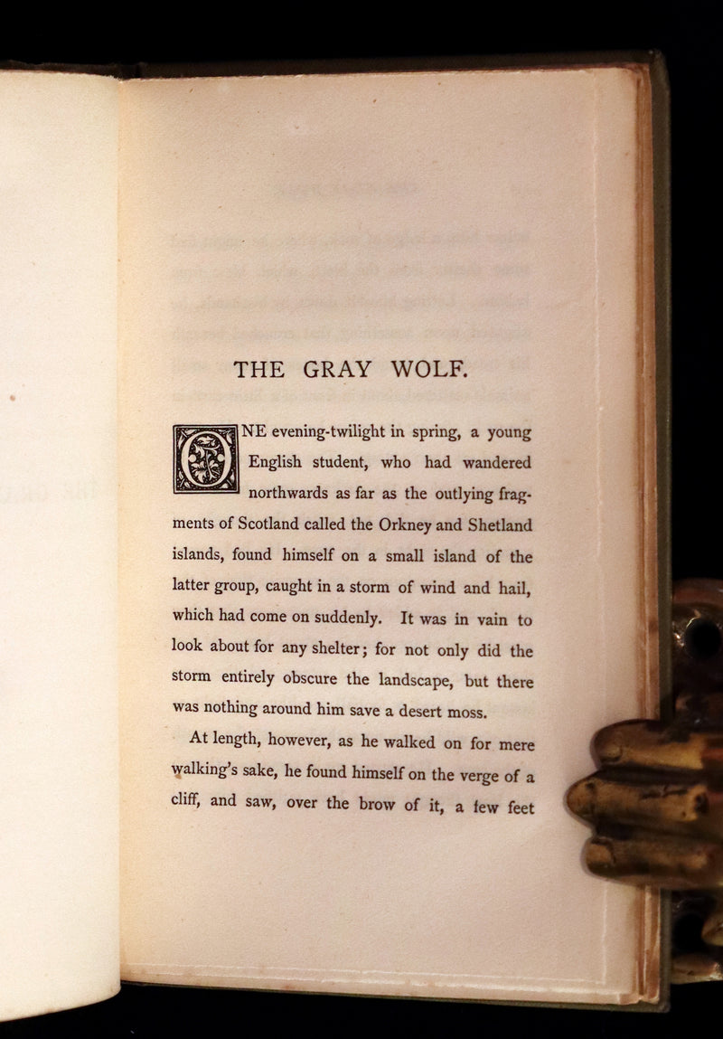 1884 Scarce Edition - The Cruel Painter and Other Fairy Tales by George MacDonald.