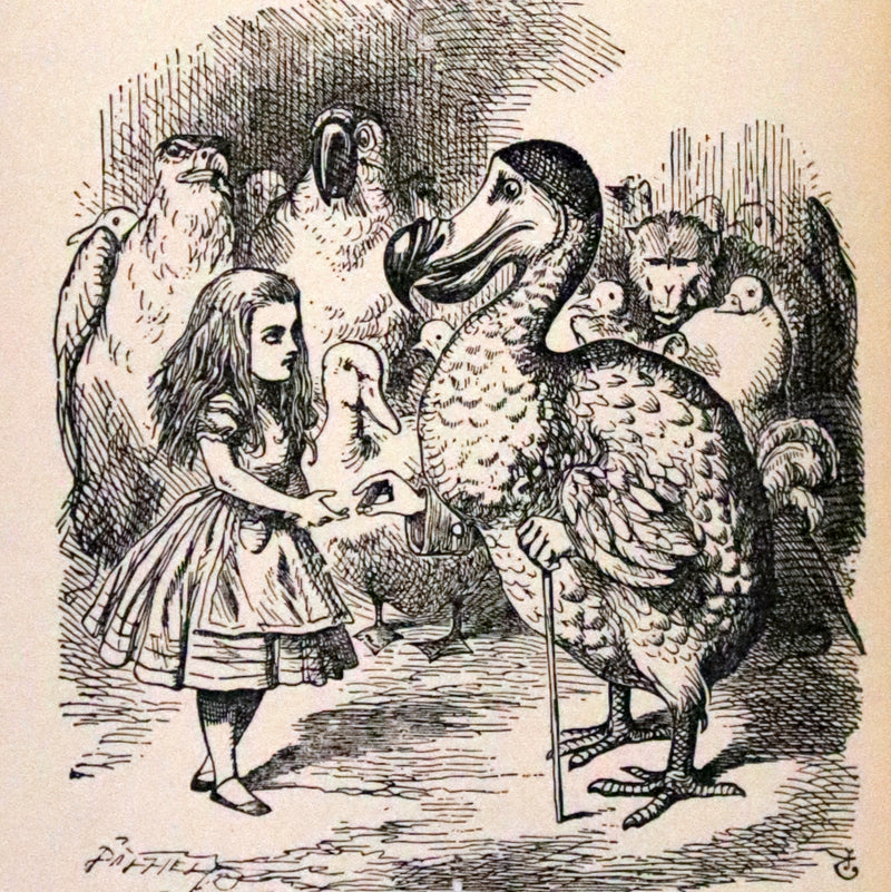 1924 Miniature Edition Book set bound by Zaehnsdorf - Alice's Adventures in Wonderland [with] Through the Looking Glass by Lewis Carroll.