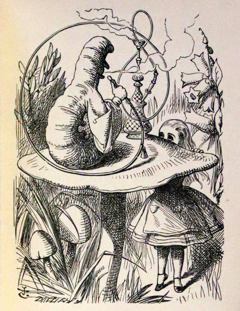 1924 Miniature Edition bound by Zaehnsdorf - Alice's Adventures in Wonderland [with] Through the Looking Glass by Lewis Carroll.