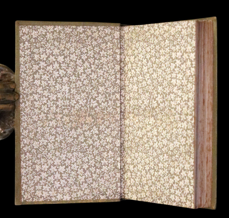 1884 Scarce Edition - The Portent: A haunting and mystical tale set in the Scottish Highlands by George MacDonald.