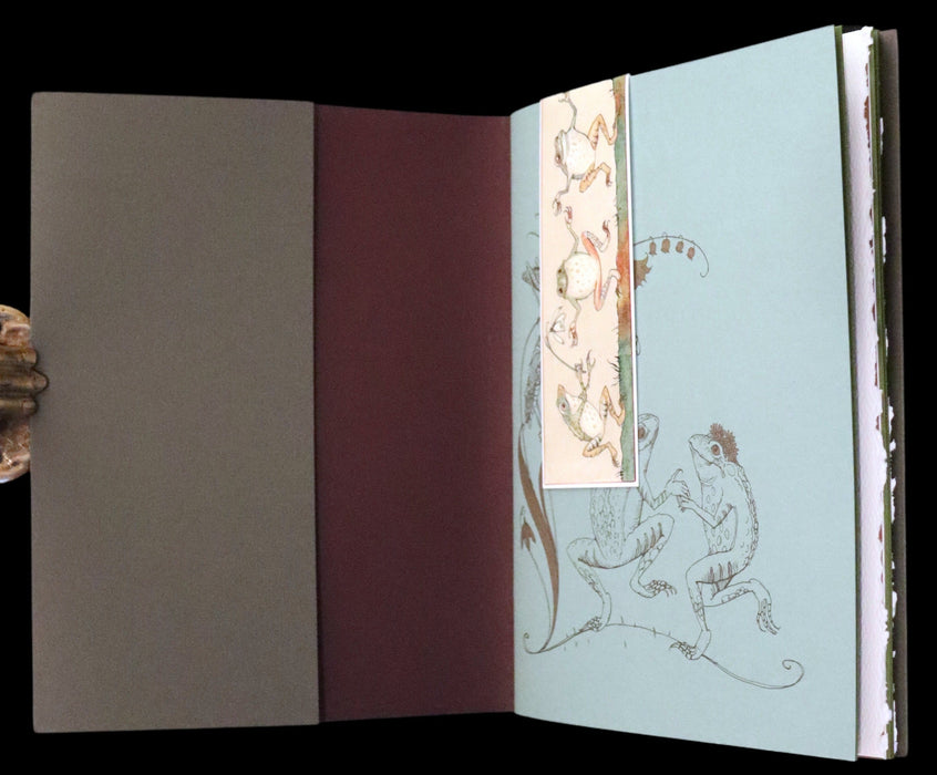 2008 Rare Edition - Mr. Rabbit's Symphony of Nature by Charles van Sandwyk. With “frolicking frogs” bookmark.