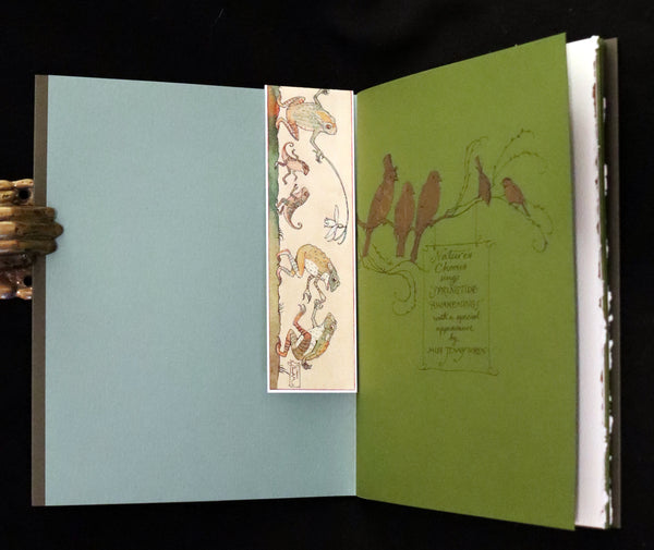 2008 Rare Edition - Mr. Rabbit's Symphony of Nature by Charles van Sandwyk. With “frolicking frogs” bookmark.
