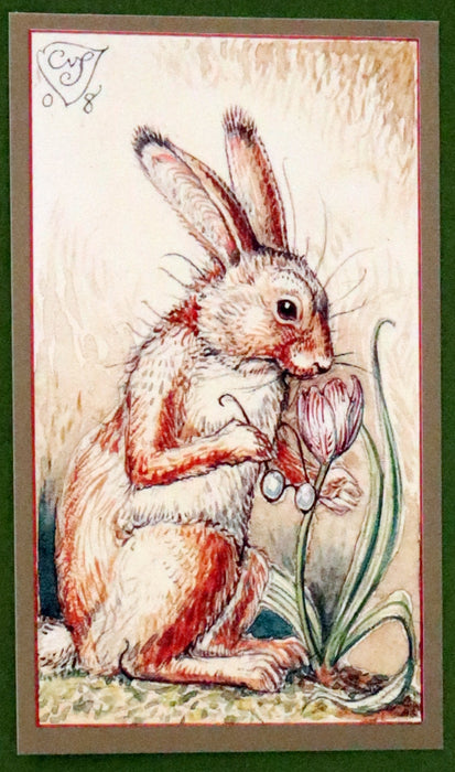 2008 Rare Edition - Mr. Rabbit's Symphony of Nature by Charles van Sandwyk. With “frolicking frogs” bookmark.