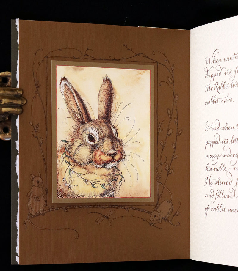 2008 Rare Edition - Mr. Rabbit's Symphony of Nature by Charles van Sandwyk. With “frolicking frogs” bookmark.