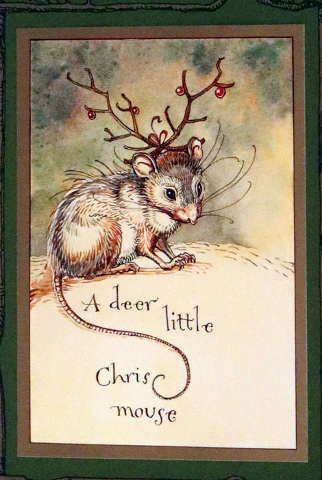 2007 Rare Edition - Mr. Rabbit's Christmas Wish Translated for Humans by Charles van Sandwyk.