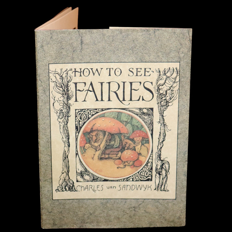 1993 Scarce First Edition - How to See Fairies by Charles van Sandwyk.With “Owl” bookmark.