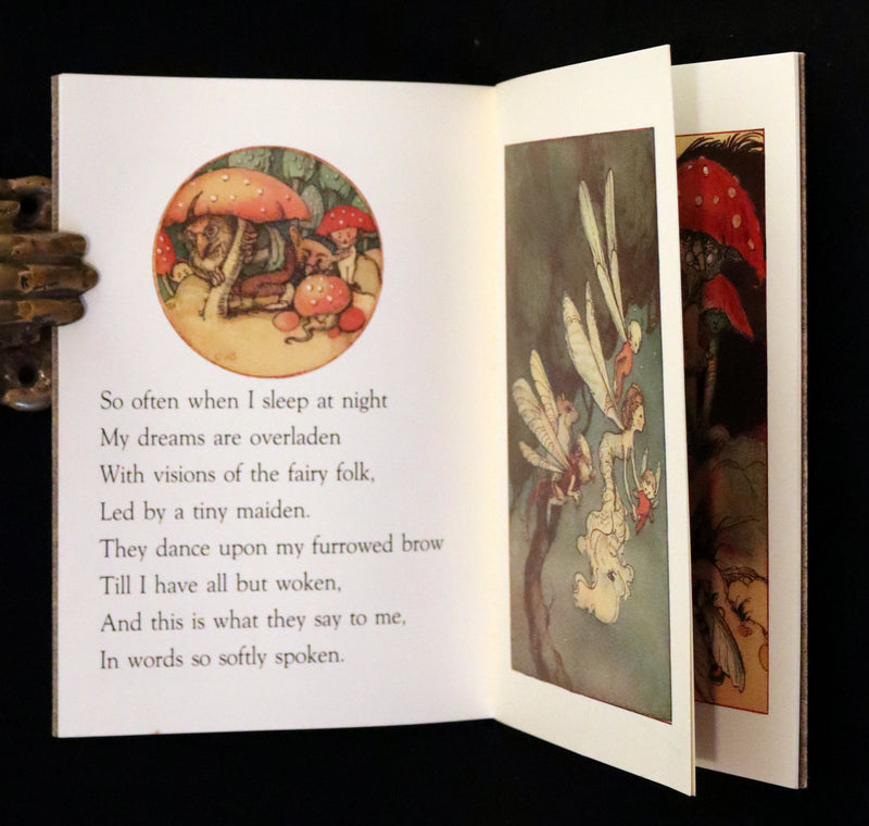 1993 Scarce First Edition - How to See Fairies by Charles van Sandwyk.With “Owl” bookmark.