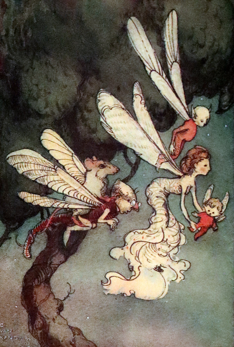 1993 Scarce First Edition - How to See Fairies by Charles van Sandwyk.With “Owl” bookmark.