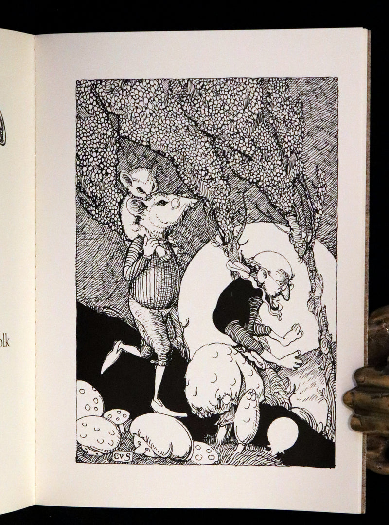 1993 Scarce First Edition - How to See Fairies by Charles van Sandwyk.With “Owl” bookmark.