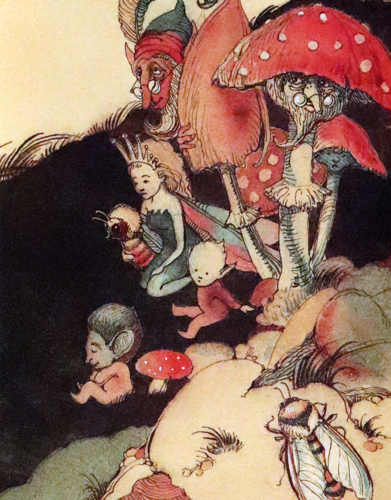 1993 Scarce First Edition - How to See Fairies by Charles van Sandwyk.With “Owl” bookmark.