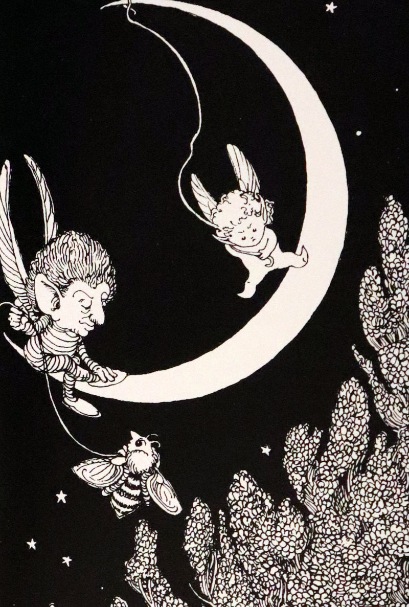 1993 Scarce First Edition - How to See Fairies by Charles van Sandwyk.With “Owl” bookmark.