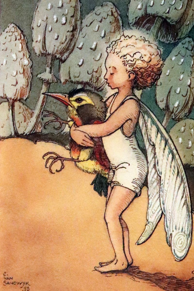 1993 Scarce First Edition - How to See Fairies by Charles van Sandwyk.With “Owl” bookmark.