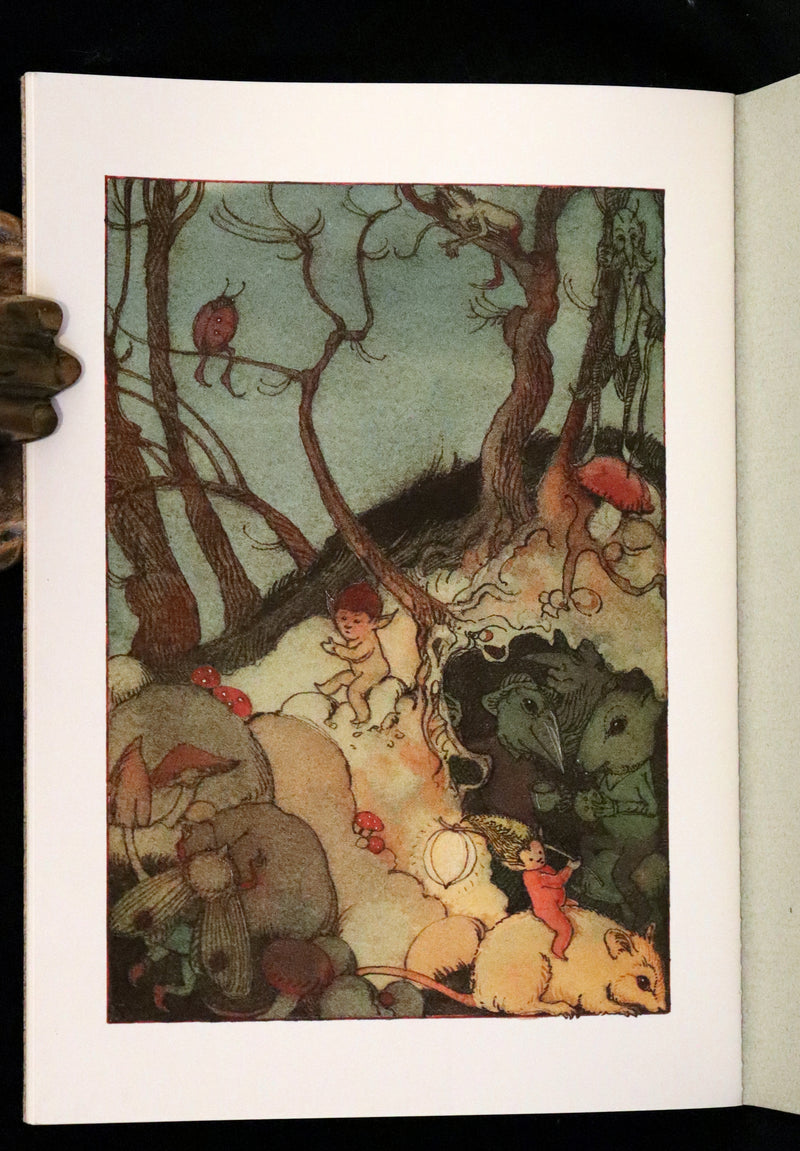 1993 Scarce First Edition - How to See Fairies by Charles van Sandwyk.With “Owl” bookmark.