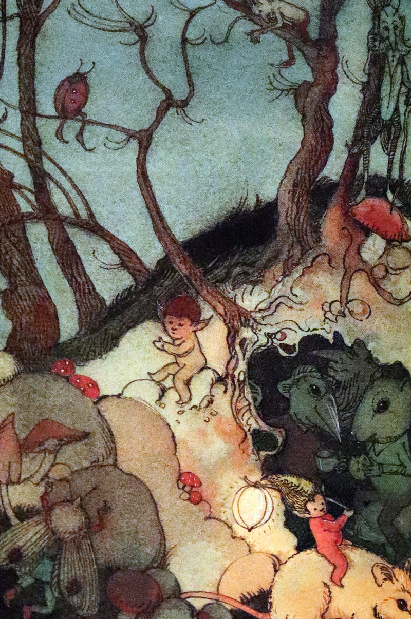 1993 Scarce First Edition - How to See Fairies by Charles van Sandwyk.With “Owl” bookmark.