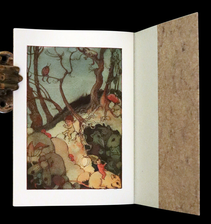 1993 Scarce First Edition - How to See Fairies by Charles van Sandwyk.With “Owl” bookmark.