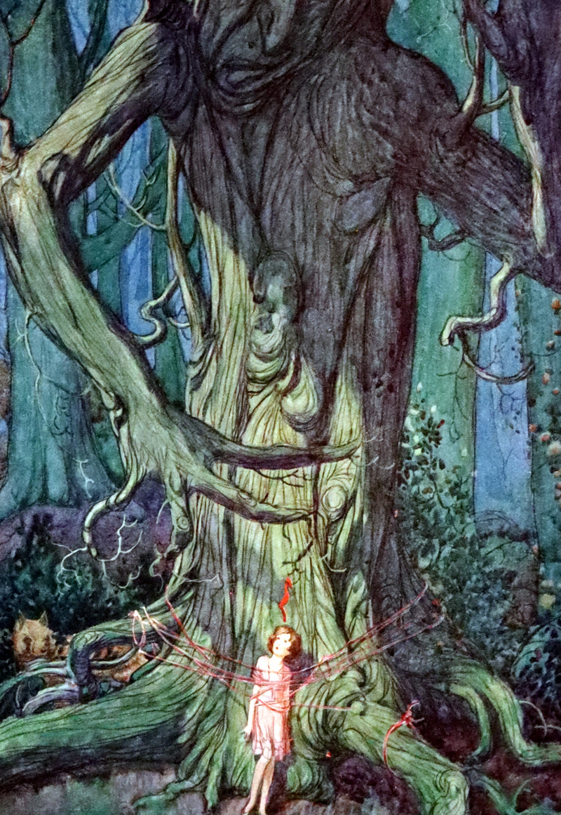 1925 Rare First Edition - Where the Rainbow Ends by Clifford Mills, illustrated by Leo Bates.