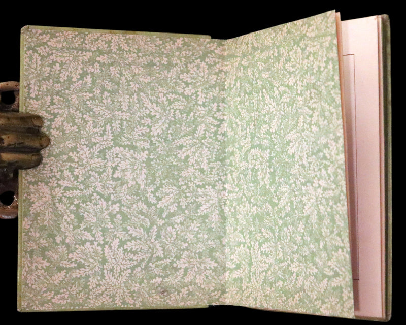 1880 Rare Edition - Puss in Boots Illustrated in color by Edward Killingworth Johnson.