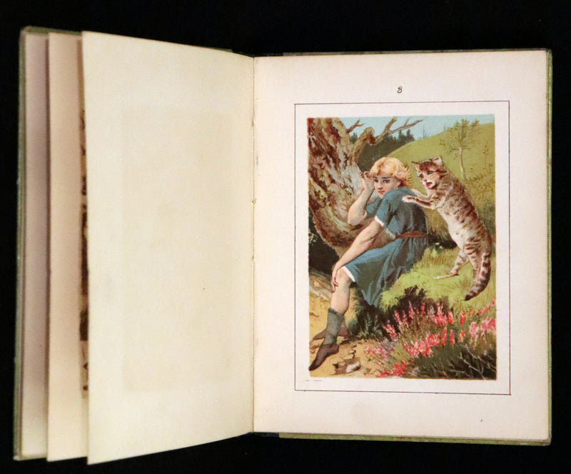 1880 Rare Edition - Puss in Boots Illustrated in color by Edward Killingworth Johnson.