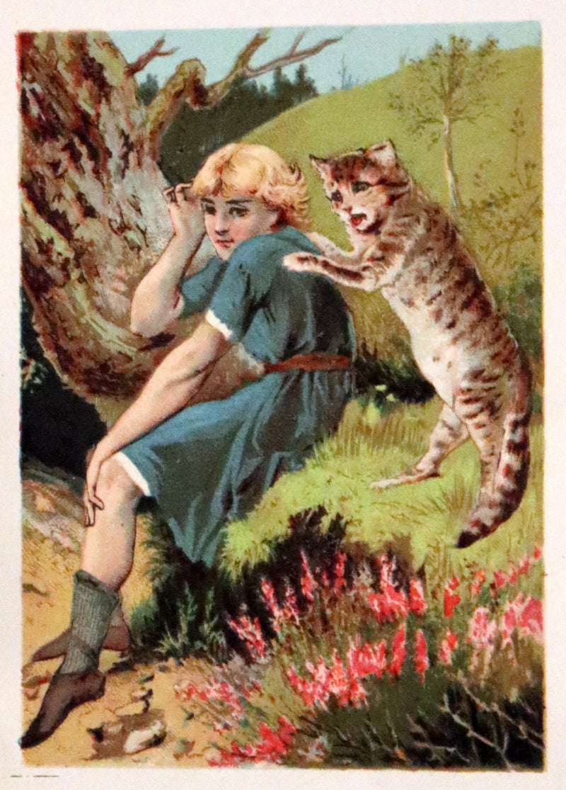 1880 Rare Edition - Puss in Boots Illustrated in color by Edward Killingworth Johnson.