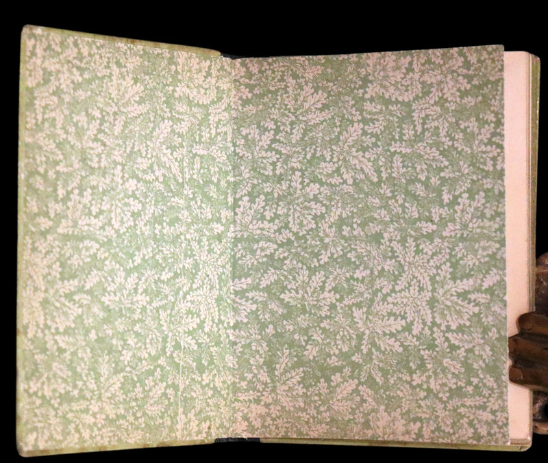 1880 Rare Edition - Puss in Boots Illustrated in color by Edward Killingworth Johnson.