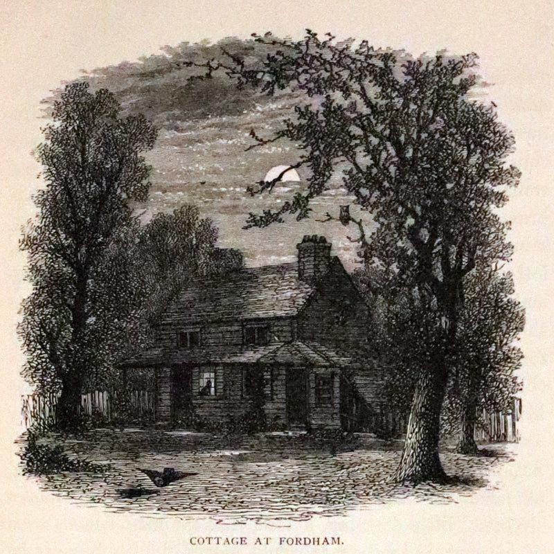 1890 Rare Book Set - The Works of Edgar Allan Poe (including Poems, Tales of Mystery and Imagination, Other).