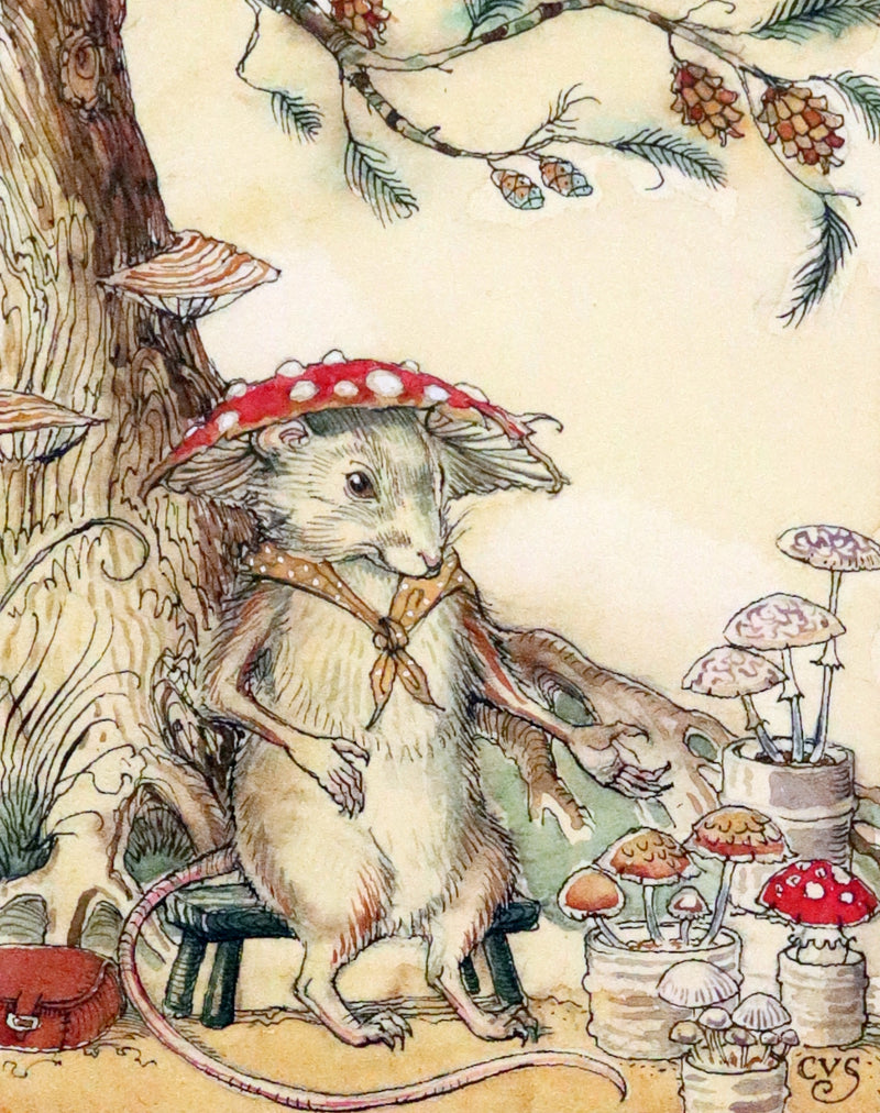 2009 Scarce First Edition - The Fairy Market by Charles van Sandwyk dedicated to Arthur Rackham.