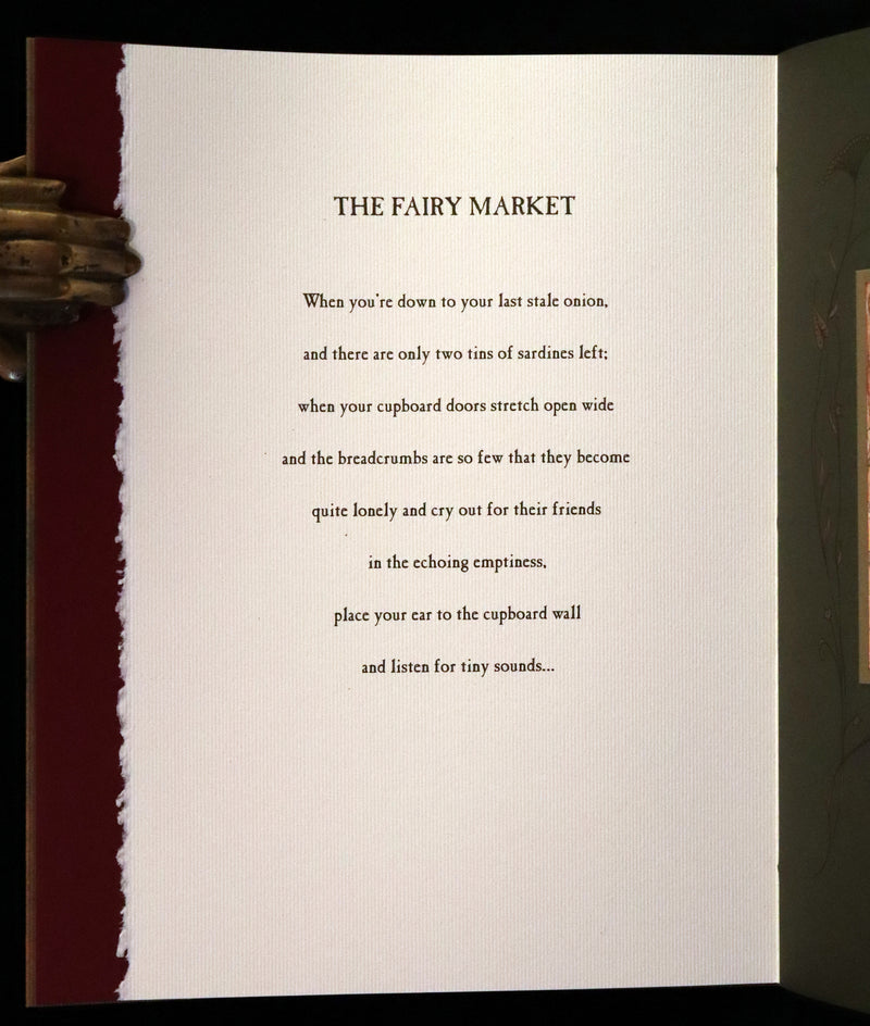 2009 Scarce First Edition - The Fairy Market by Charles van Sandwyk dedicated to Arthur Rackham.