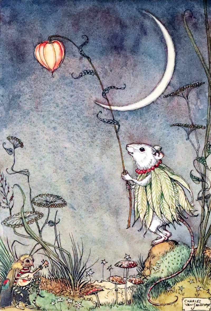 2009 Scarce First Edition - The Fairy Market by Charles van Sandwyk dedicated to Arthur Rackham.