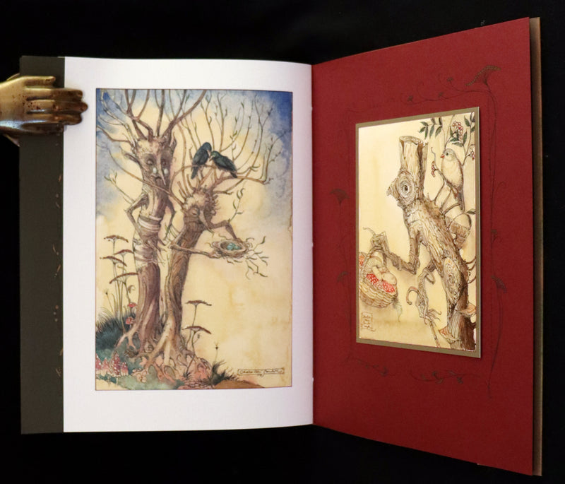 2009 Scarce First Edition - The Fairy Market by Charles van Sandwyk dedicated to Arthur Rackham.