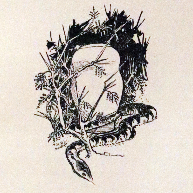 1904 Fine 1stED bound by Bayntun-Riviere - Green Mansions by W.H. Hudson. An early environmental novel.