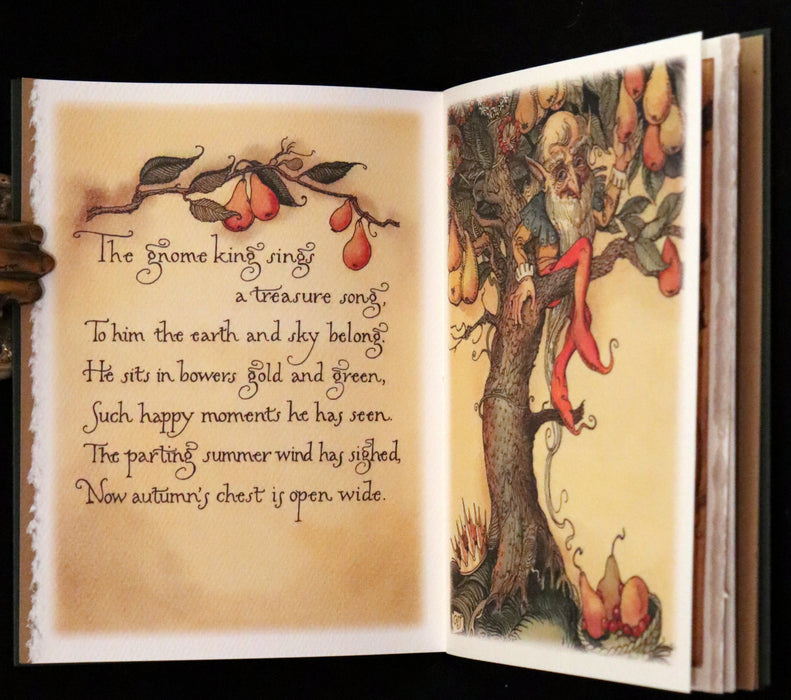 2000 Scarce Signed First Edition - The Gnome King’s Treasure Song by Charles van Sandwyk.