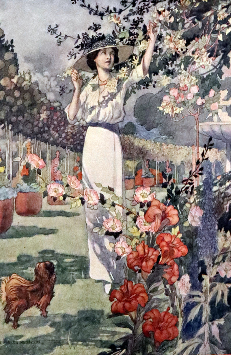 1914 Rare First Edition - Our Sentimental Garden by Agnes and Egerton Castle, Illustrated by Charles Robinson.