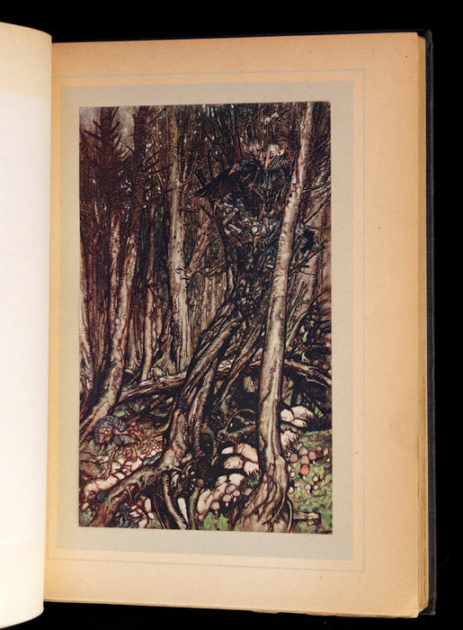 1909 Rare First Edition - Undine by De La Motte Fouque, illustrated by Arthur Rackham.