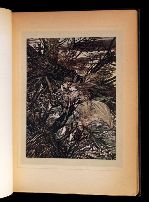 1909 Rare First Edition - Undine by De La Motte Fouque, illustrated by Arthur Rackham.